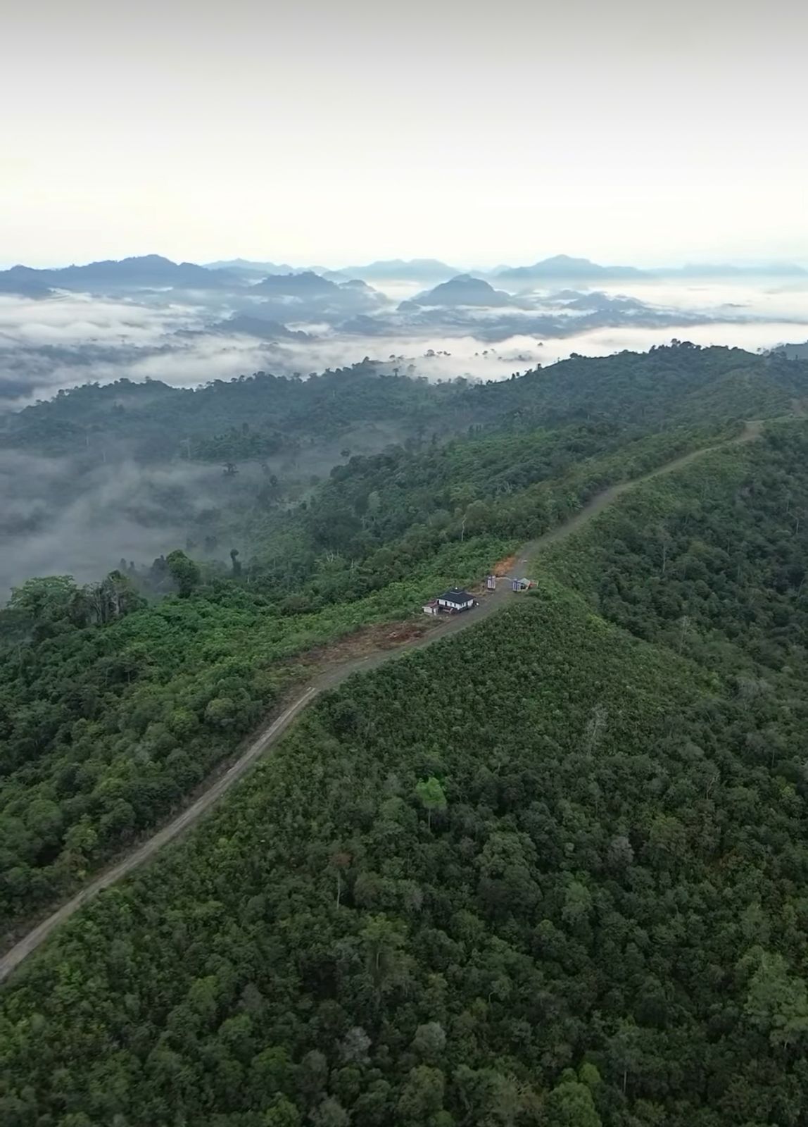 Desa